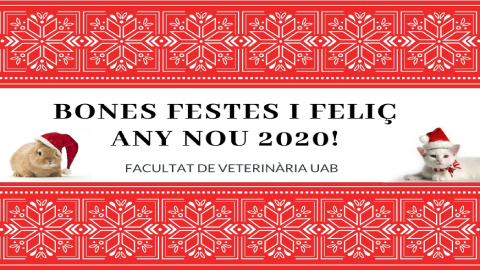 Postal nadal 2020